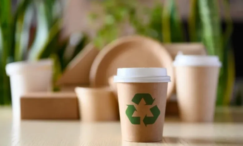 Brewing Success: How to Choose the Perfect Disposable Coffee Cups Wholesaler