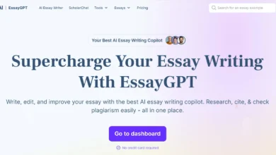 How to Use Popular Essay Examples to Master Essay Writing